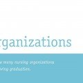 Nursing Organizations