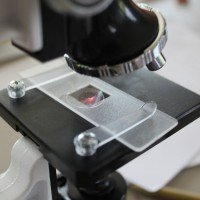 Science Nursing